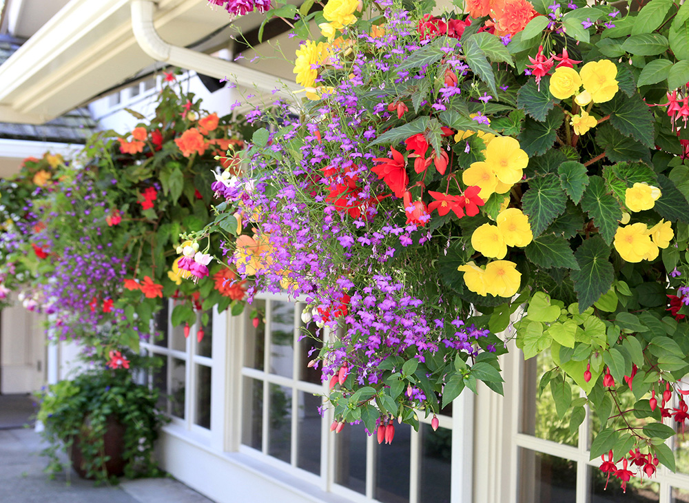 HortiCura Wall Baskets